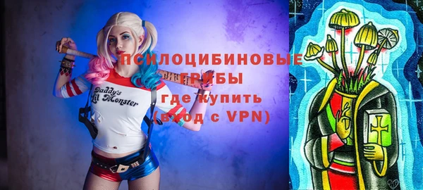 дурь Осташков