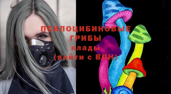 круглые Алзамай
