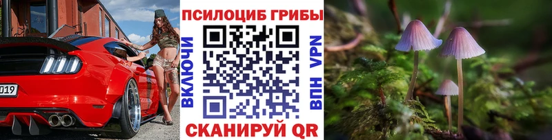 shop Telegram  ссылка на мегу онион  Сельцо  Галлюциногенные грибы Magic Shrooms 